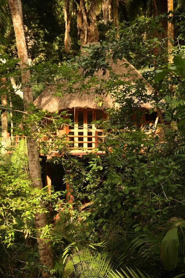 Aldea Bamboo Village Сан-Франциско Экстерьер фото